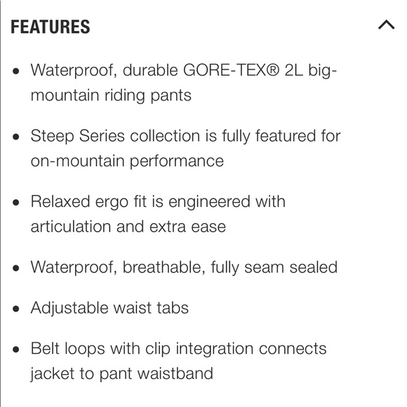 NWT The North Face NFZ Gore-Tex ski pants - Picture 6 of 15